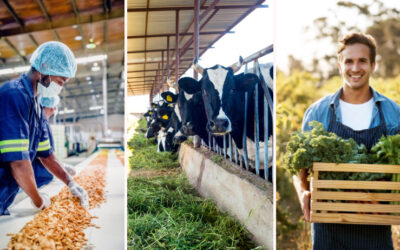Agriculture – Élevage – Agroalimentaire : Une vision intégrée pour nourrir durablement l’avenir