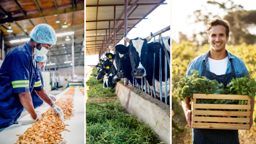 Agriculture – Élevage – Agroalimentaire : Une vision intégrée pour nourrir durablement l’avenir