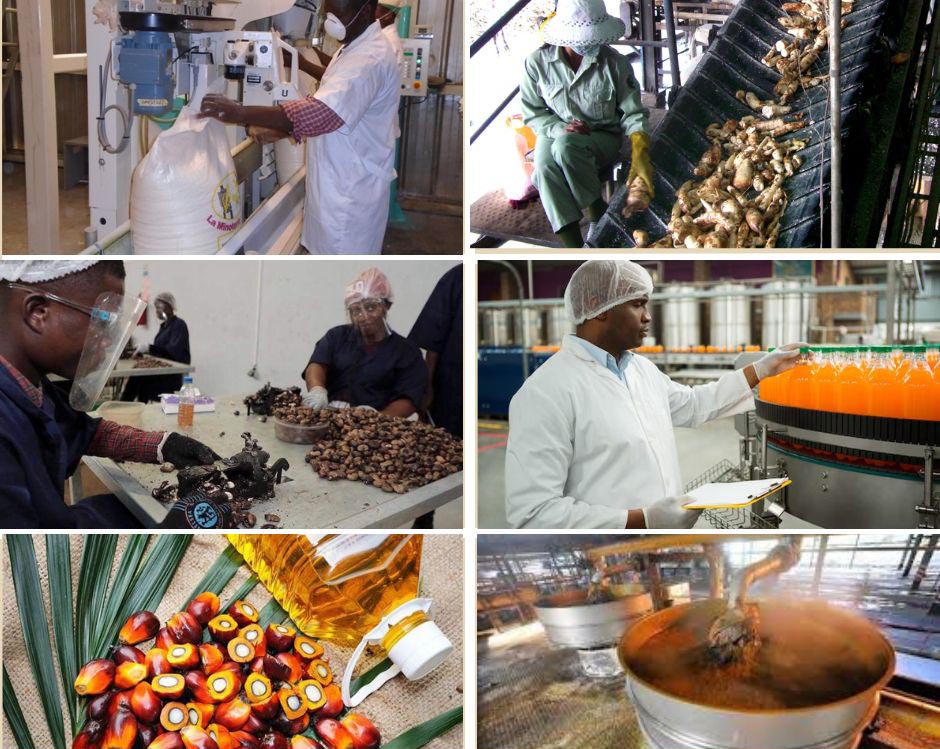 mot du DG Woo agro produits